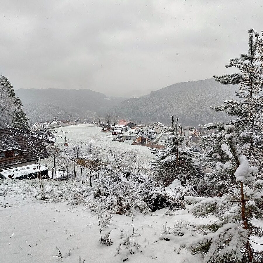 Schnee Dorfblickrunde 7