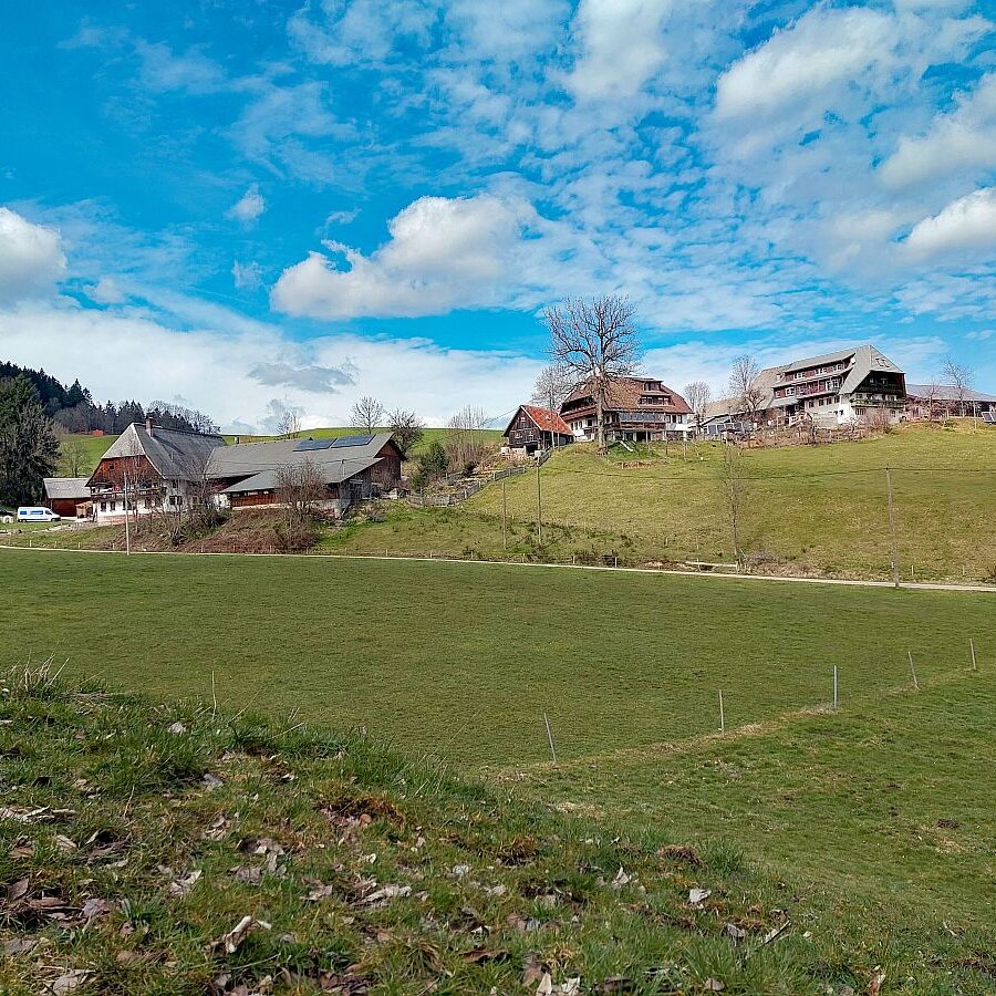 Schuetzen Mooshof Linde 03