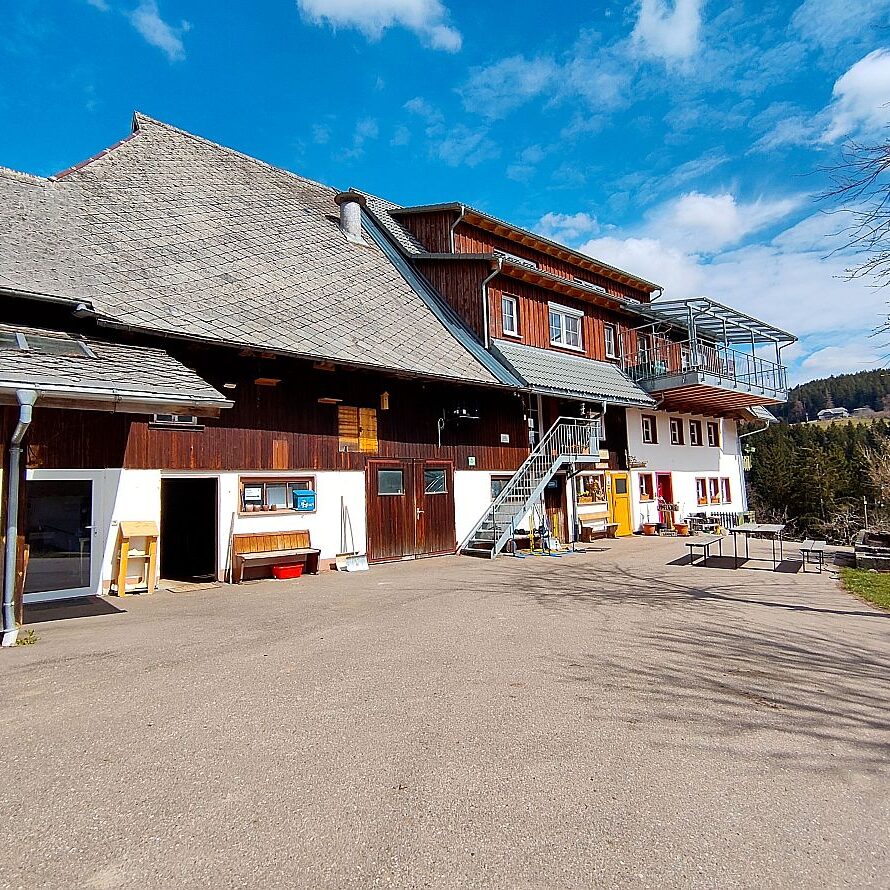 Schuetzen Mooshof Linde 04