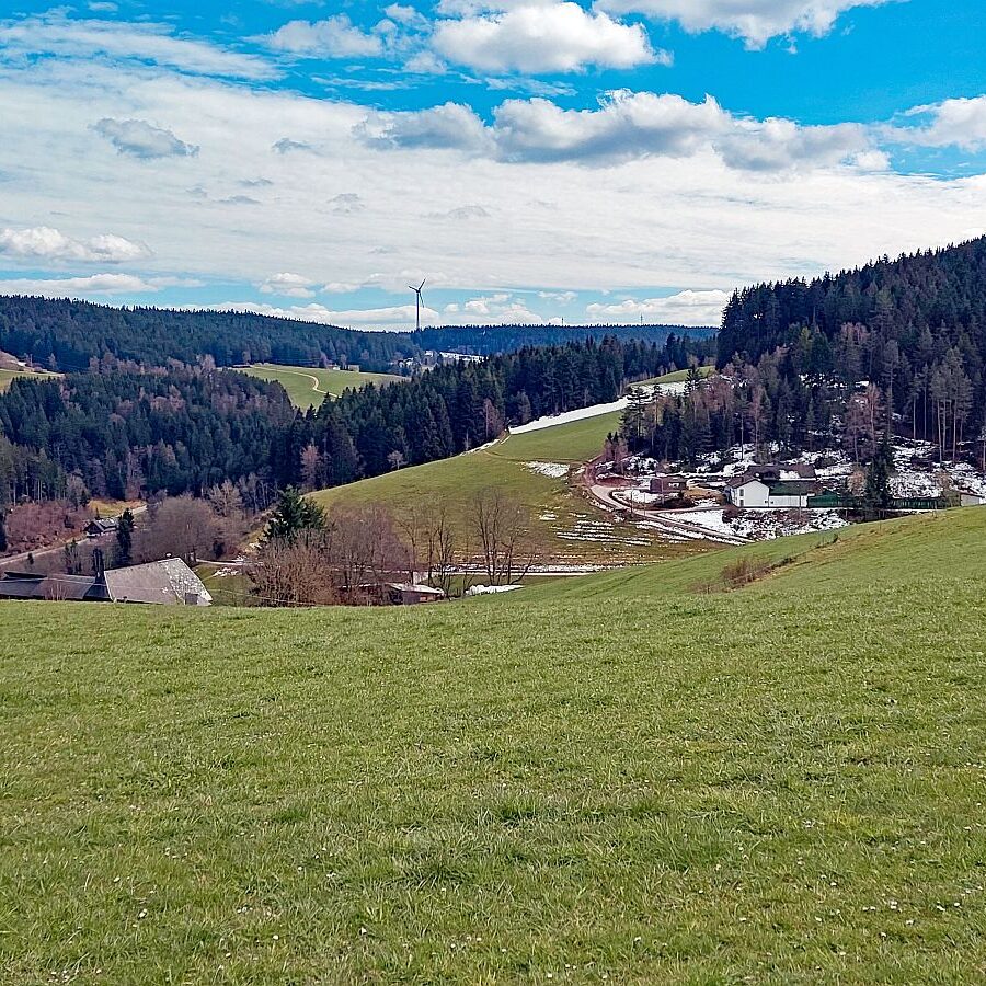 Schuetzen Mooshof Linde 06