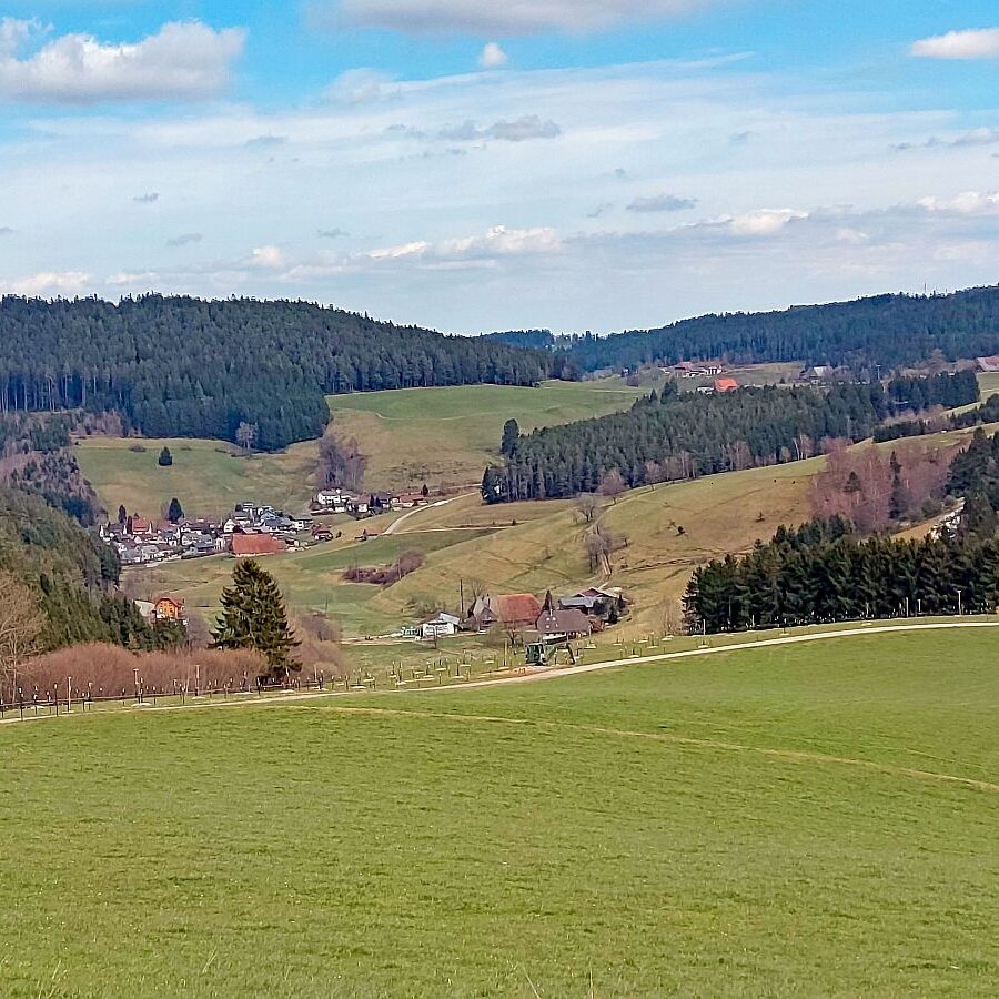 Schuetzen Mooshof Linde 08