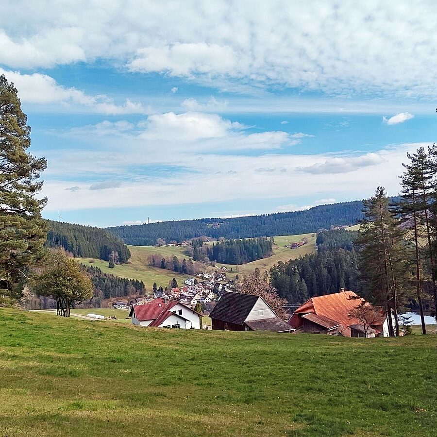 Schuetzen Mooshof Linde 12