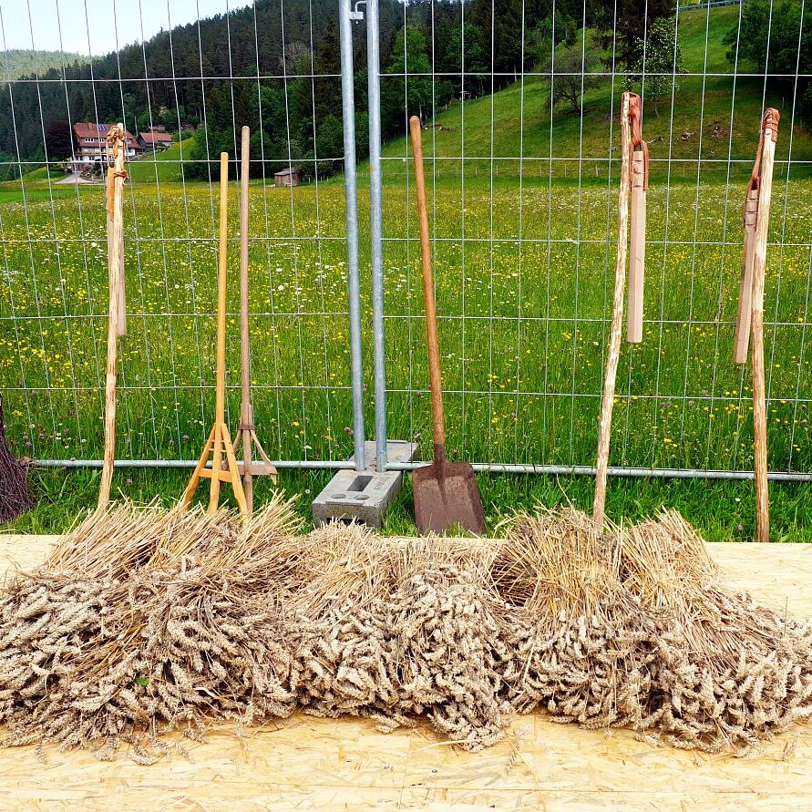 2026 Dreschen BV Unterschiltach11