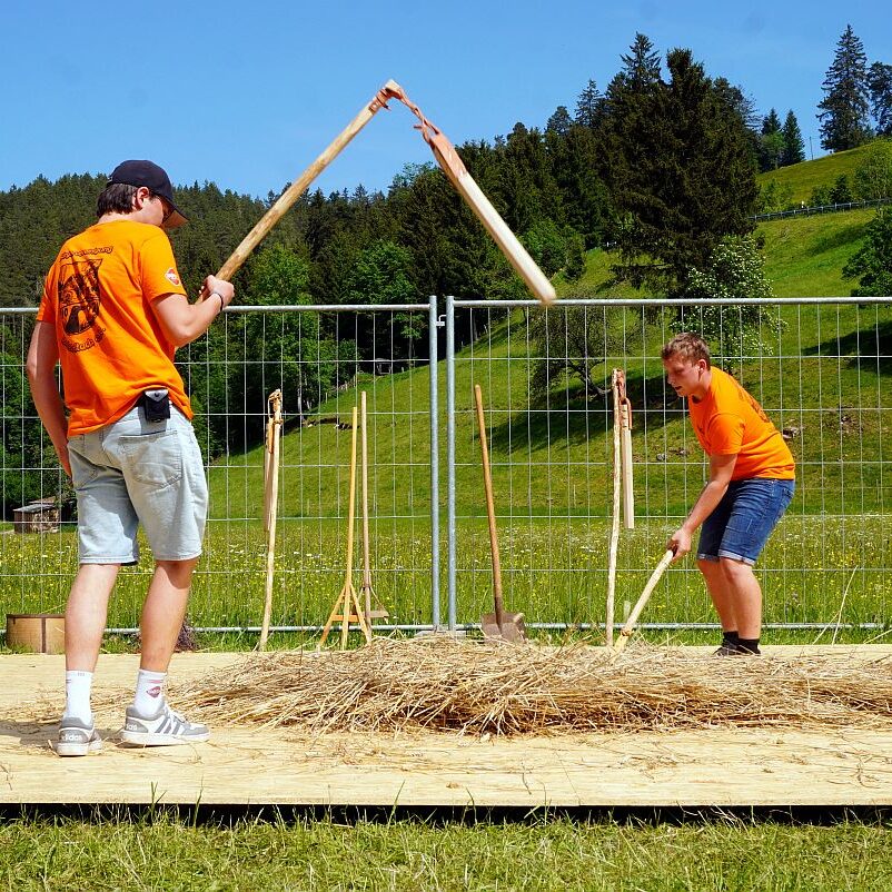 2026 Dreschen BV Unterschiltach13