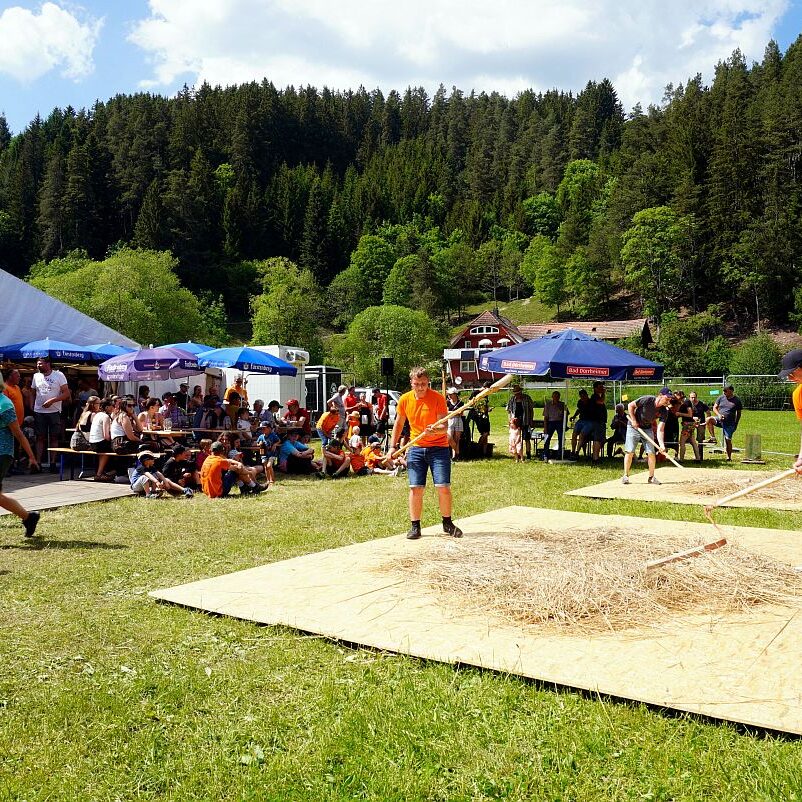 2026 Dreschen BV Unterschiltach14