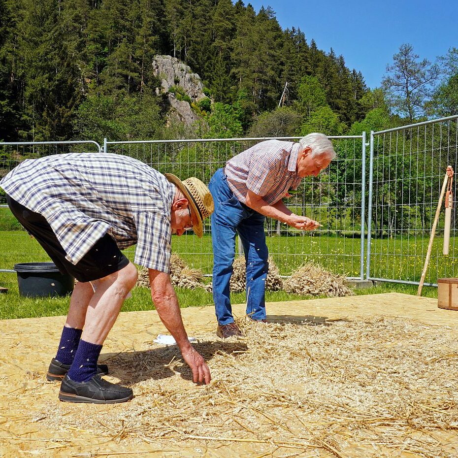 2026 Dreschen BV Unterschiltach8