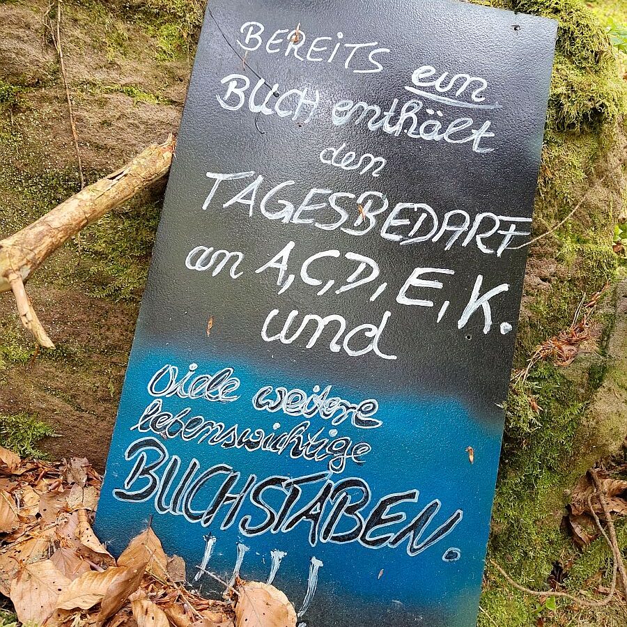 Bücherhaus 9