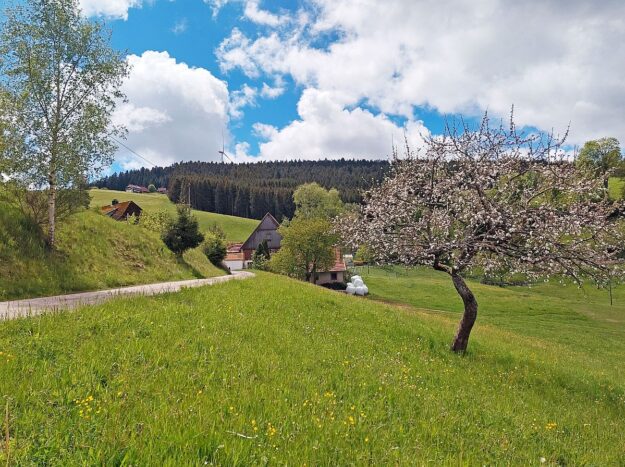 Schützen Kohlwald 01
