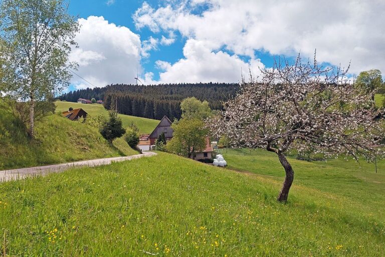 Schützen Kohlwald 01