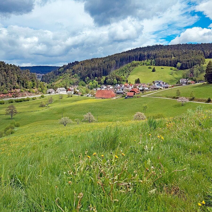 Schützen Kohlwald 03