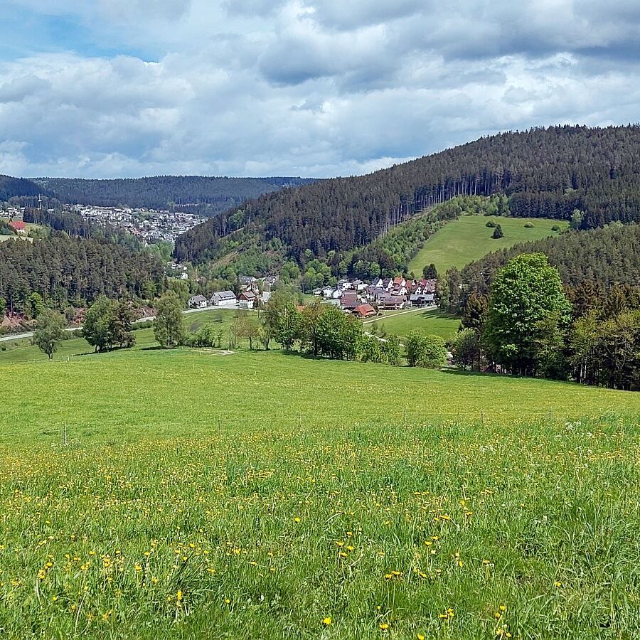 Schützen Kohlwald 04