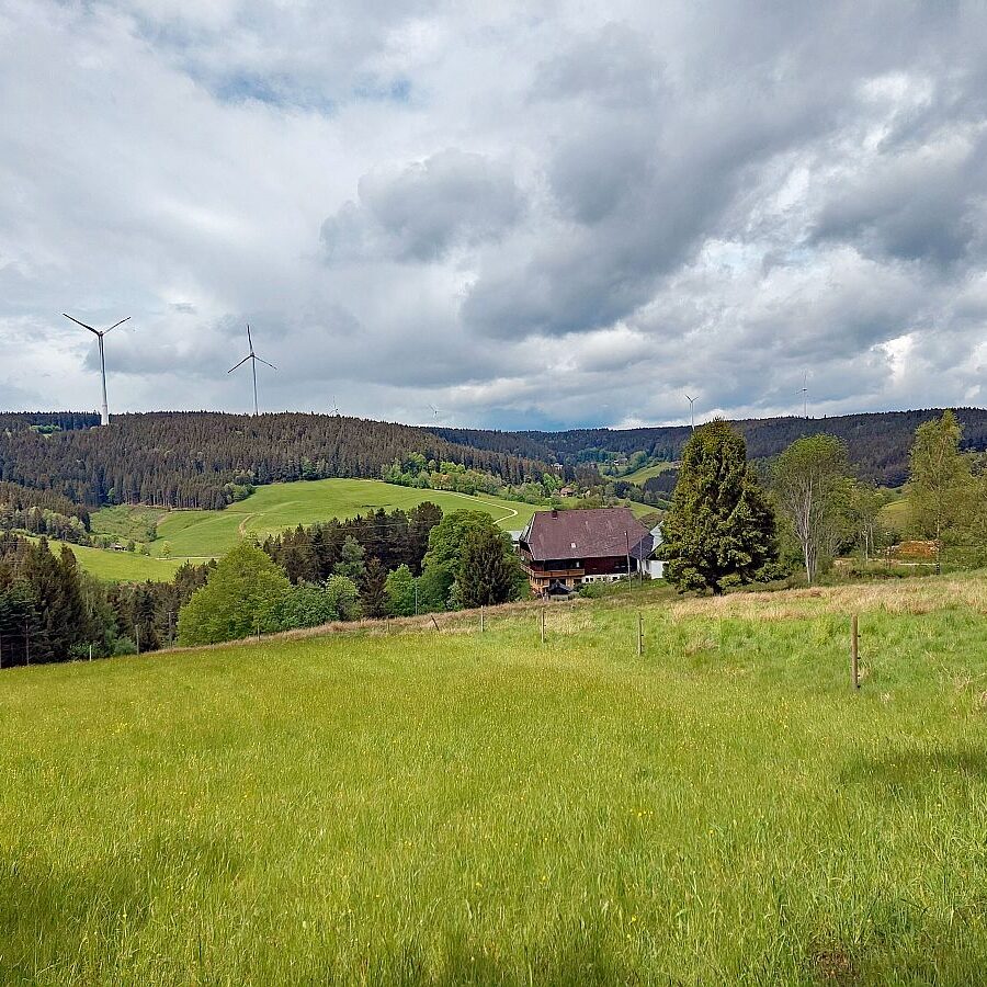 Schützen Kohlwald 06