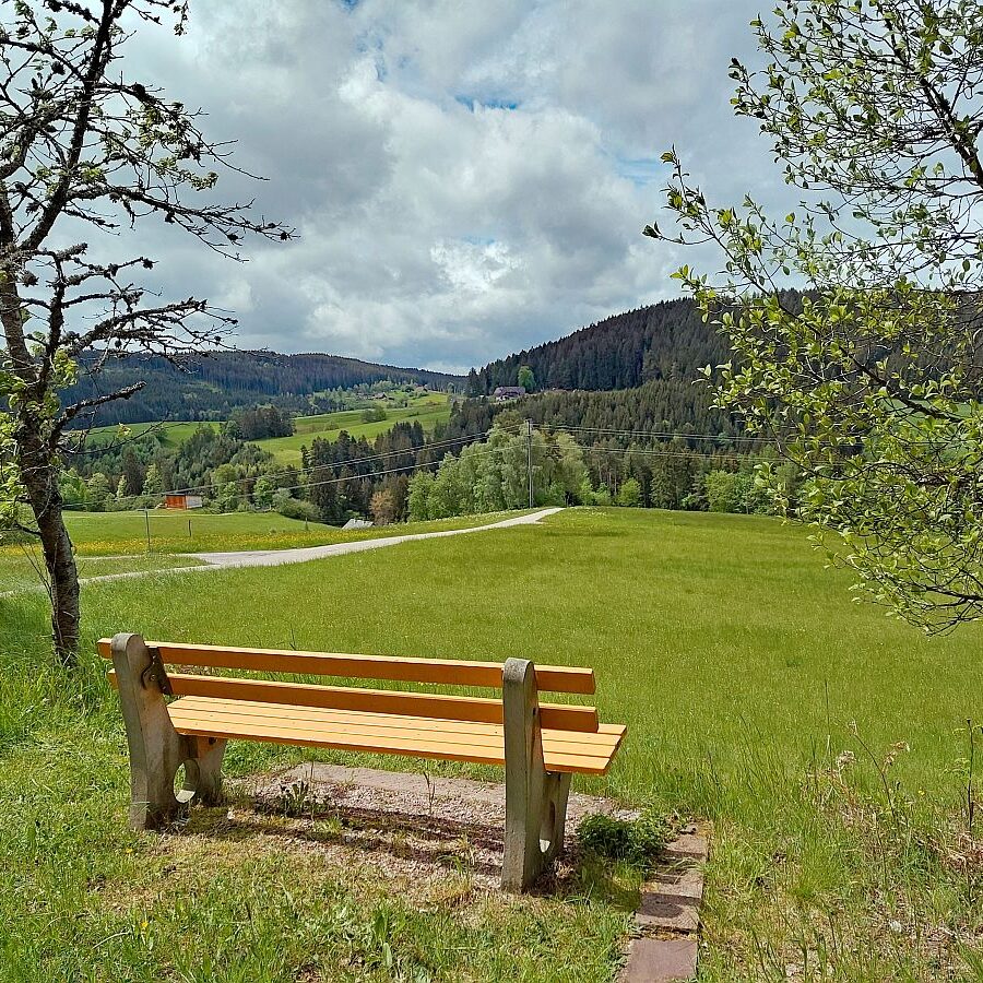 Schützen Kohlwald 07