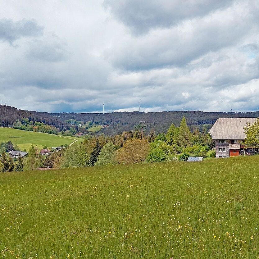 Schützen Kohlwald 08