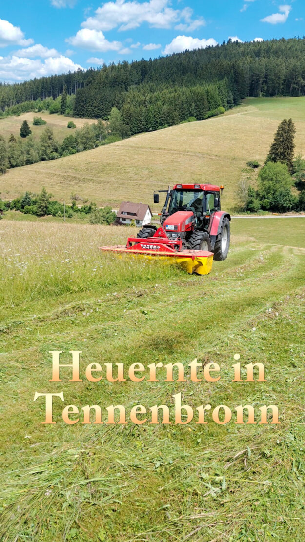 2026 Heuernte Tennenbronn