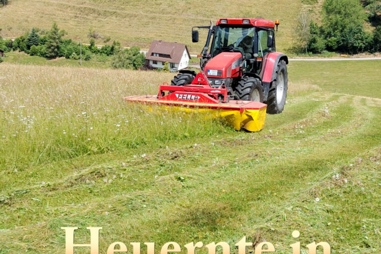 2026 Heuernte Tennenbronn