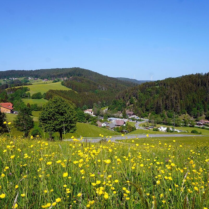 Berneck Tischneck 1