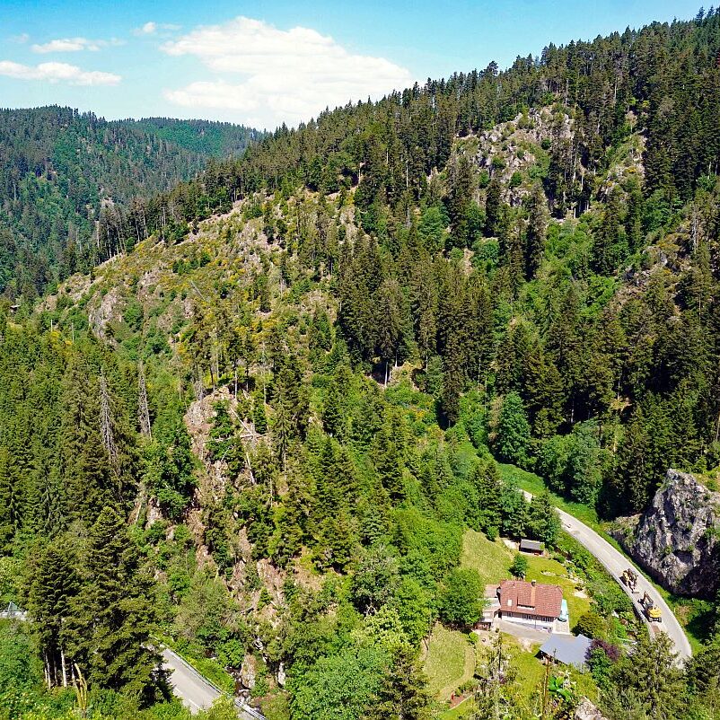 Berneck Tischneck 10