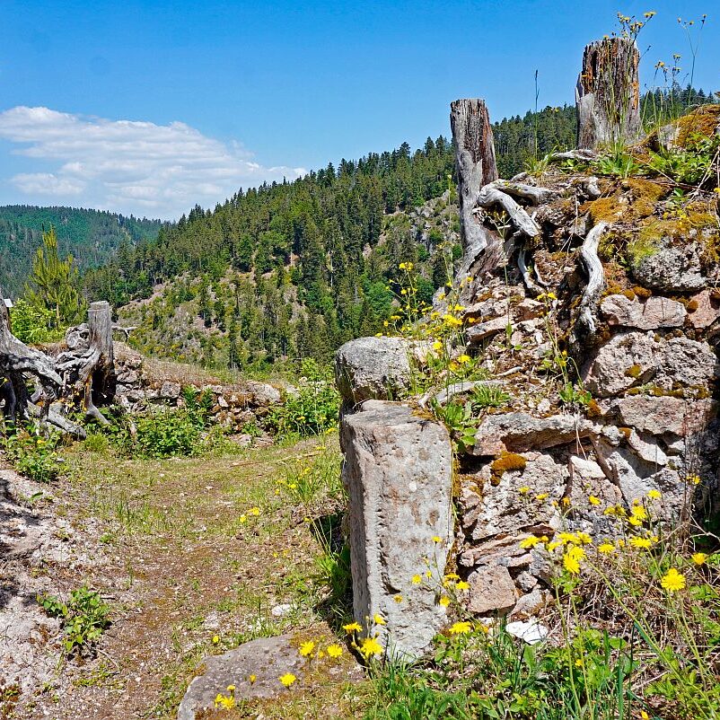 Berneck Tischneck 13