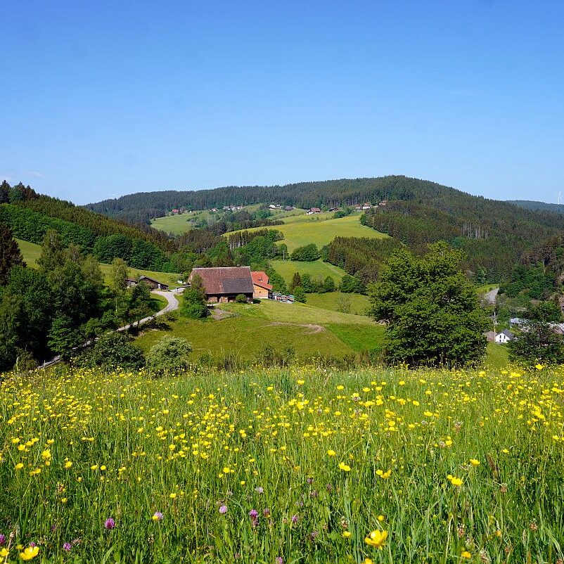Berneck Tischneck 2