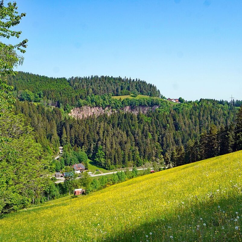 Berneck Tischneck 3