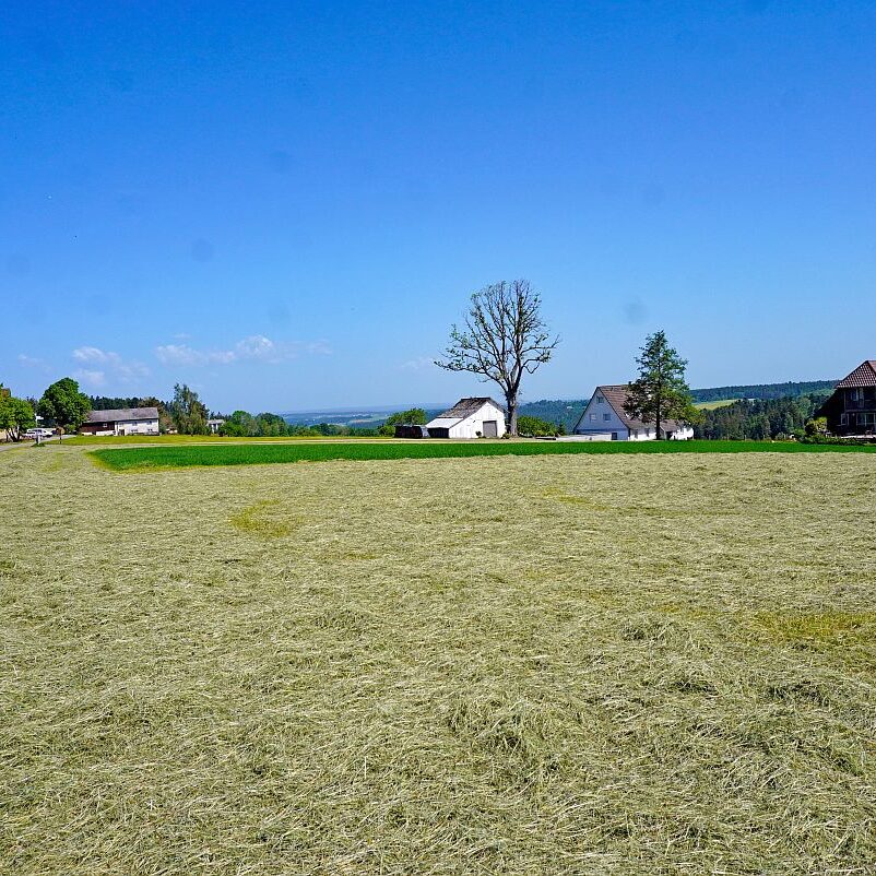 Berneck Tischneck 6