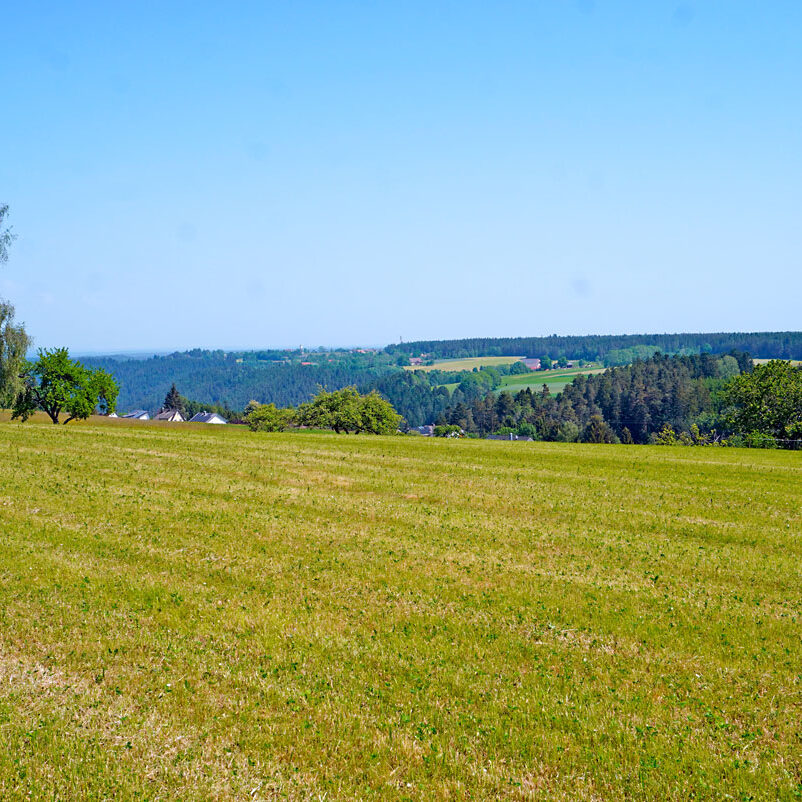 Berneck Tischneck 7