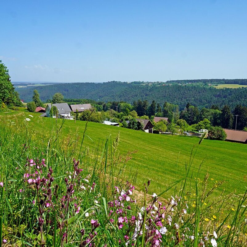 Berneck Tischneck 8