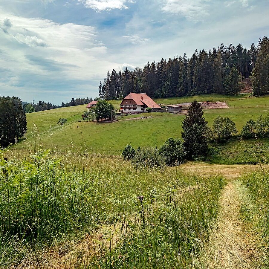 Gersbach Oehle Dobel 11
