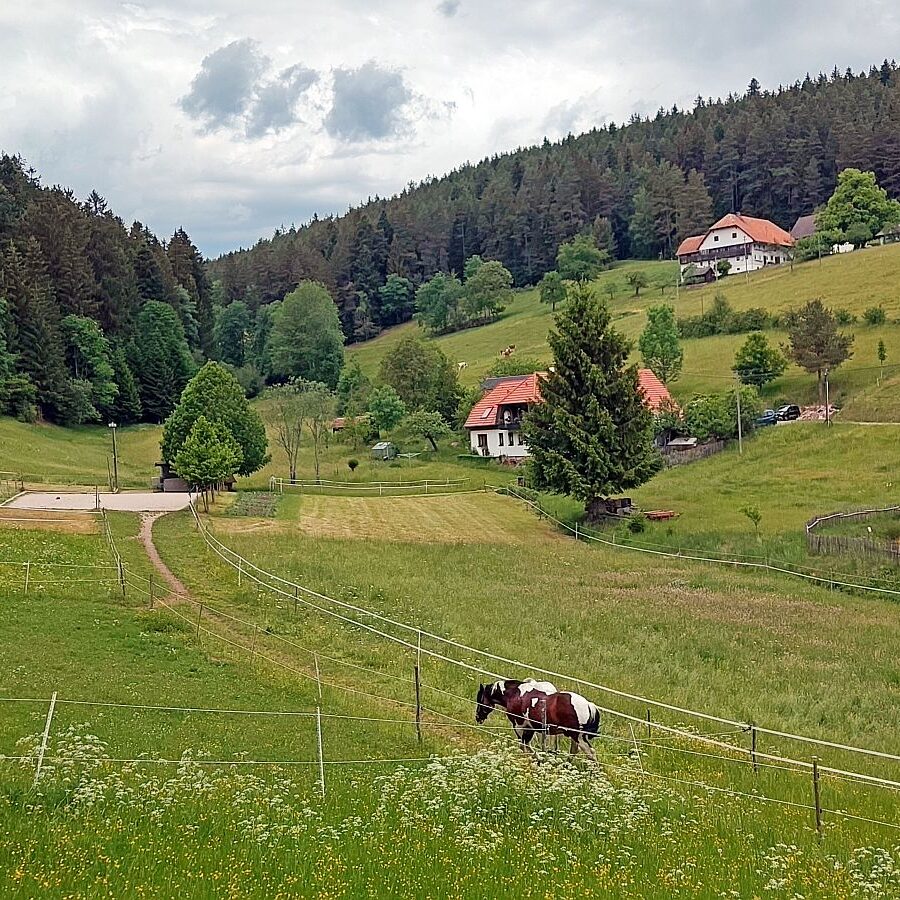Gersbach Oehle Dobel 14