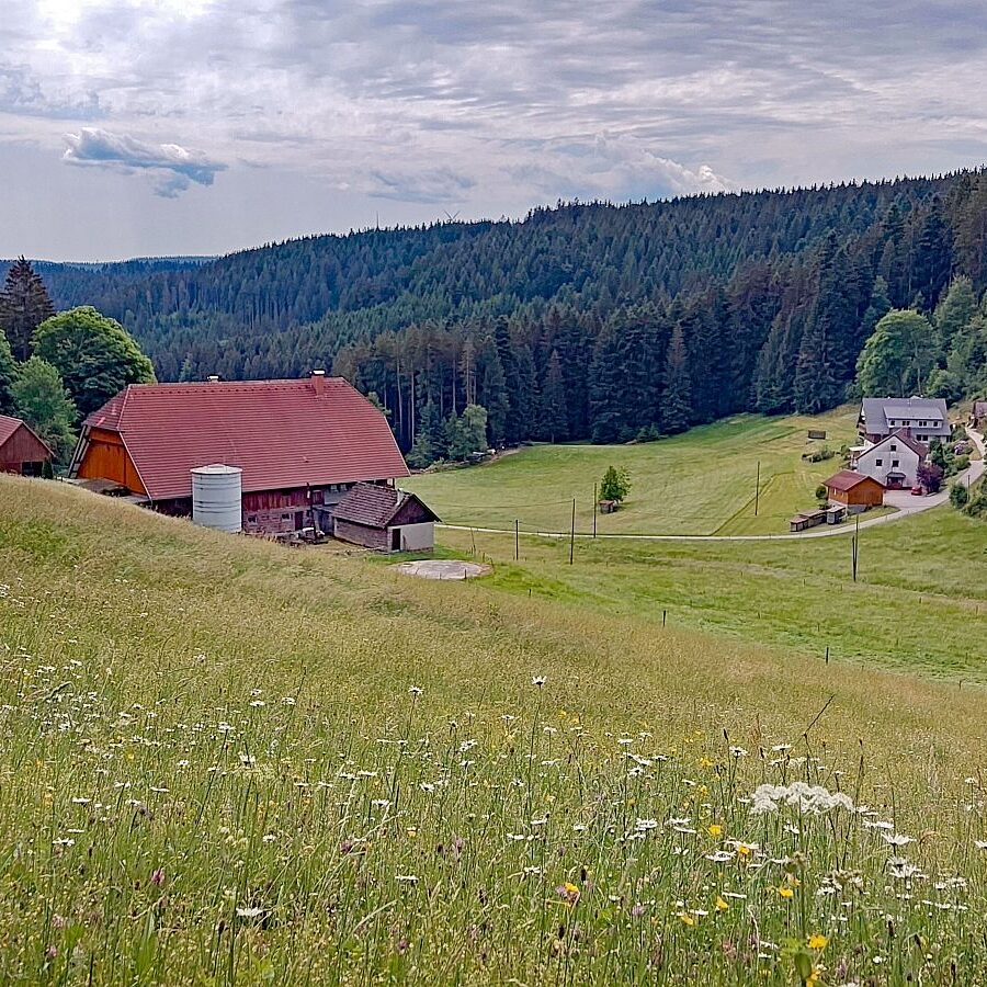 Gersbach Oehle Dobel 4