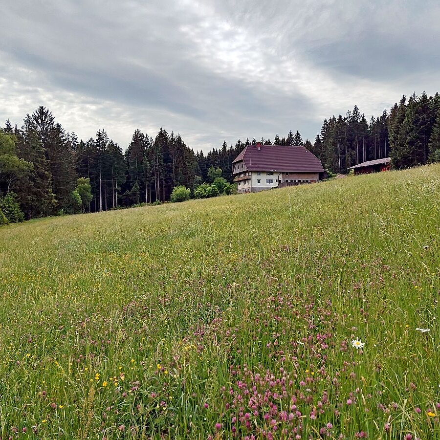 Gersbach Oehle Dobel 5