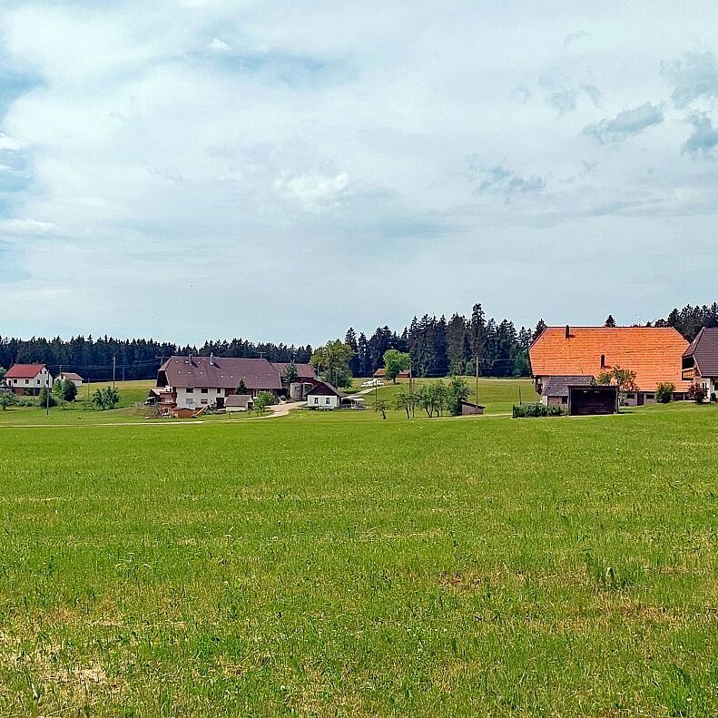 Gersbach Oehle Dobel 7