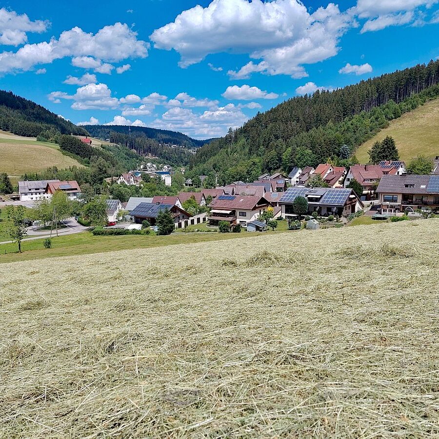 Heuernte Tennenbronn 1
