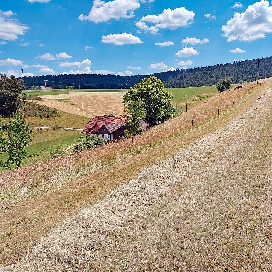 Heuernte Tennenbronn 2