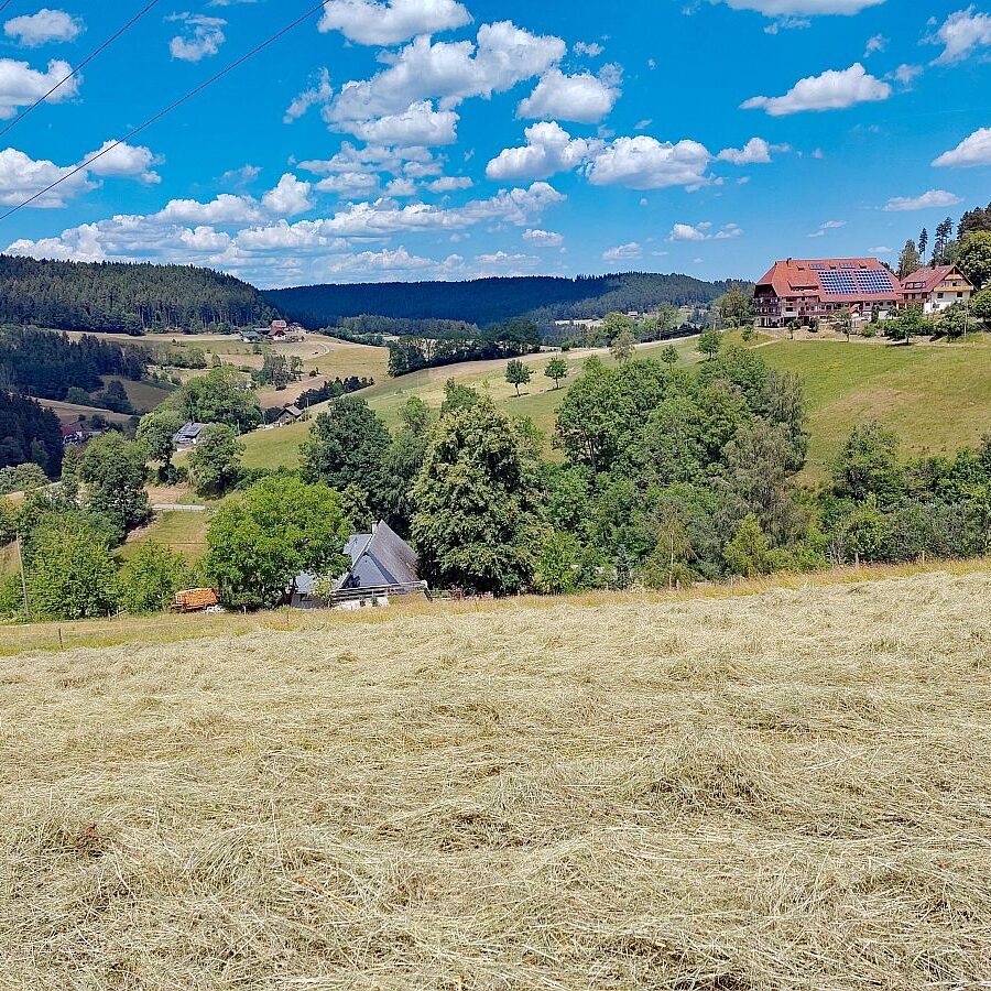 Heuernte Tennenbronn 4