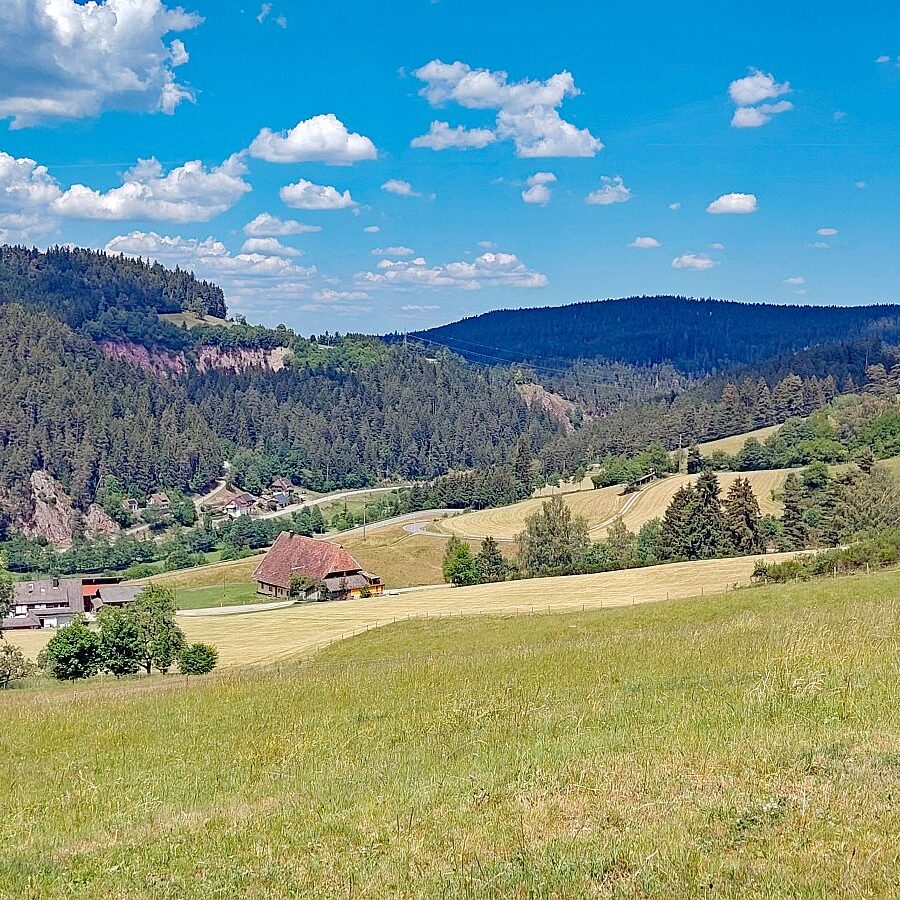 Heuernte Tennenbronn 6
