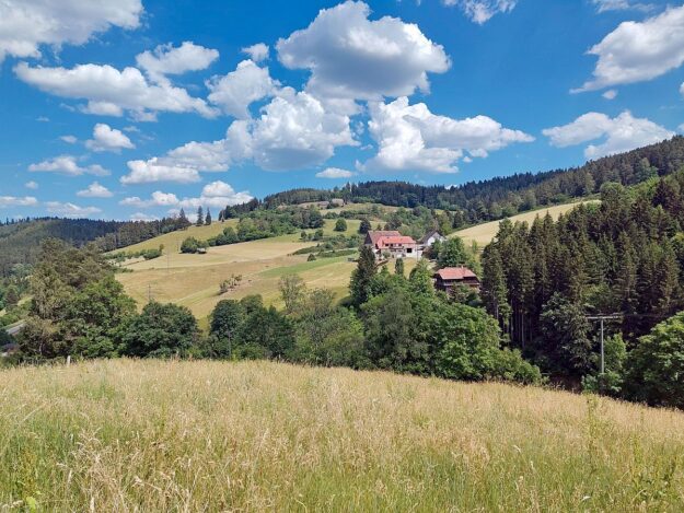 Heuernte Tennenbronn 8