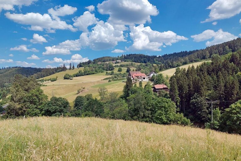 Heuernte Tennenbronn 8
