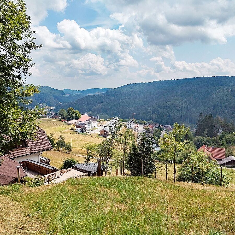 Dorfblickrunde 04