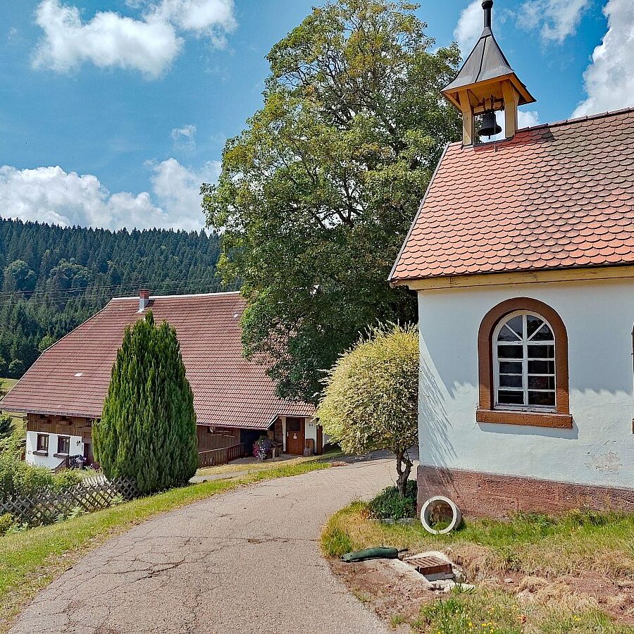Dorfblickrunde 09