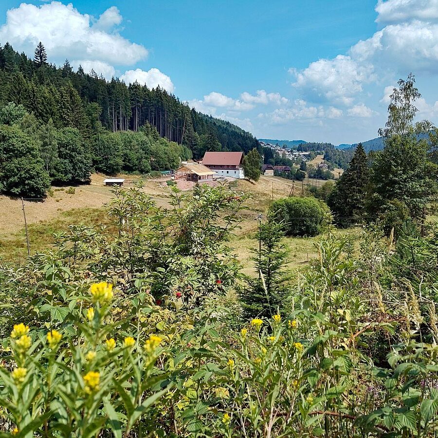 Dorfblickrunde 10