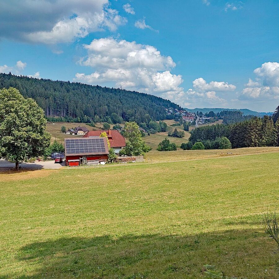 Dorfblickrunde 11