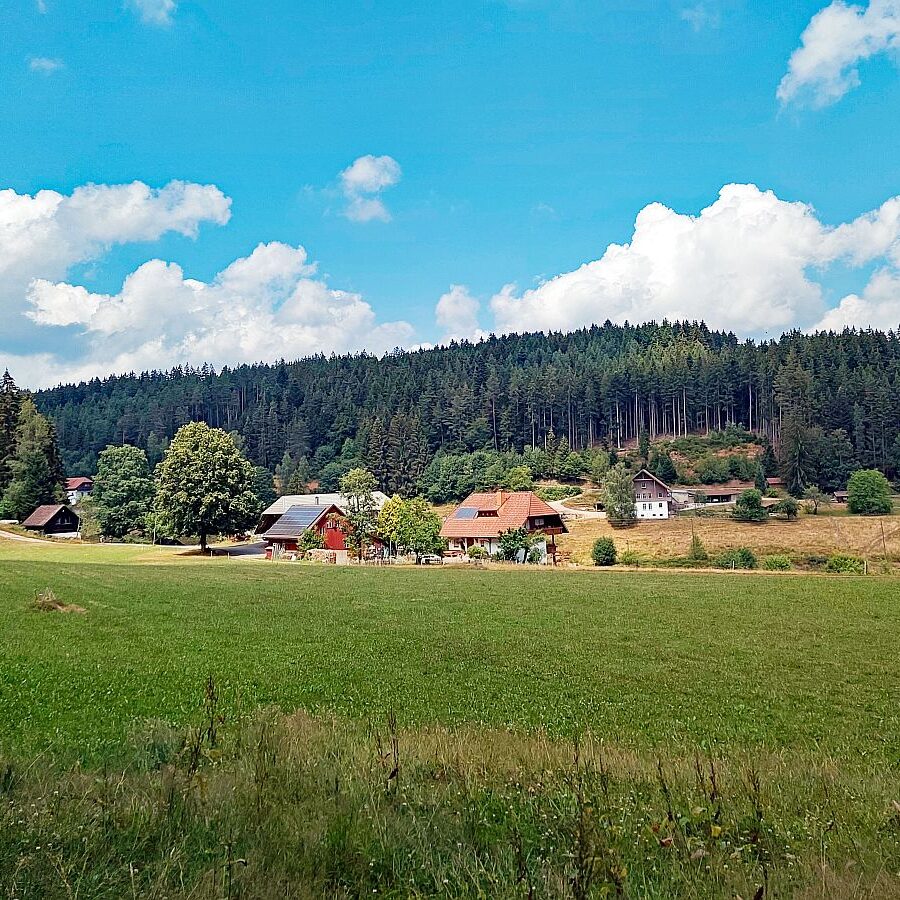 Dorfblickrunde 12