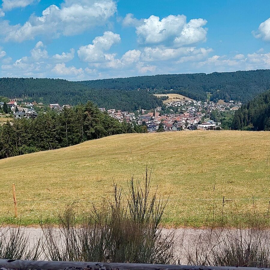 Dorfblickrunde 15