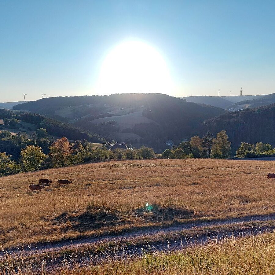 Altenburg Sonnenfinsternis 1
