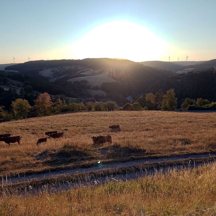 Altenburg Sonnenfinsternis 2