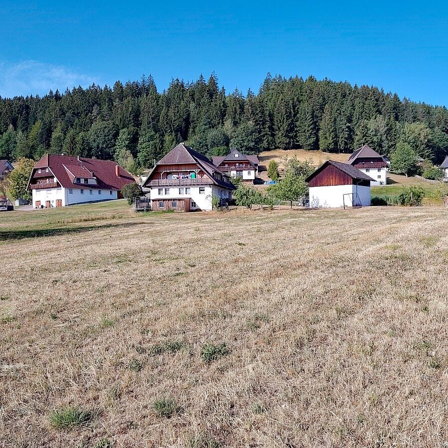 Bernecktal 1