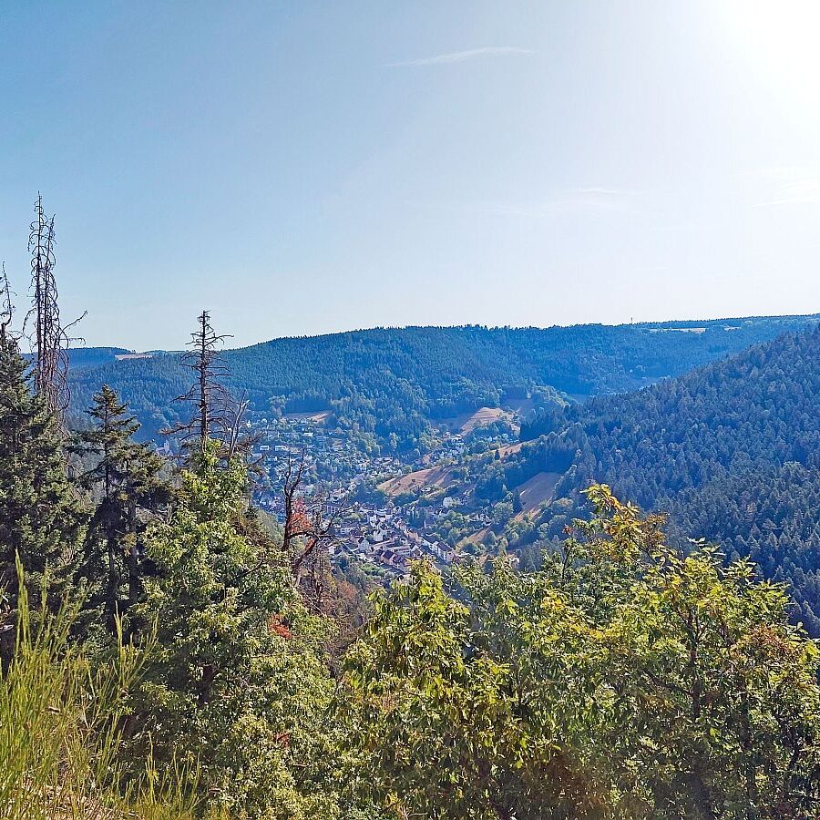 Bernecktal 2
