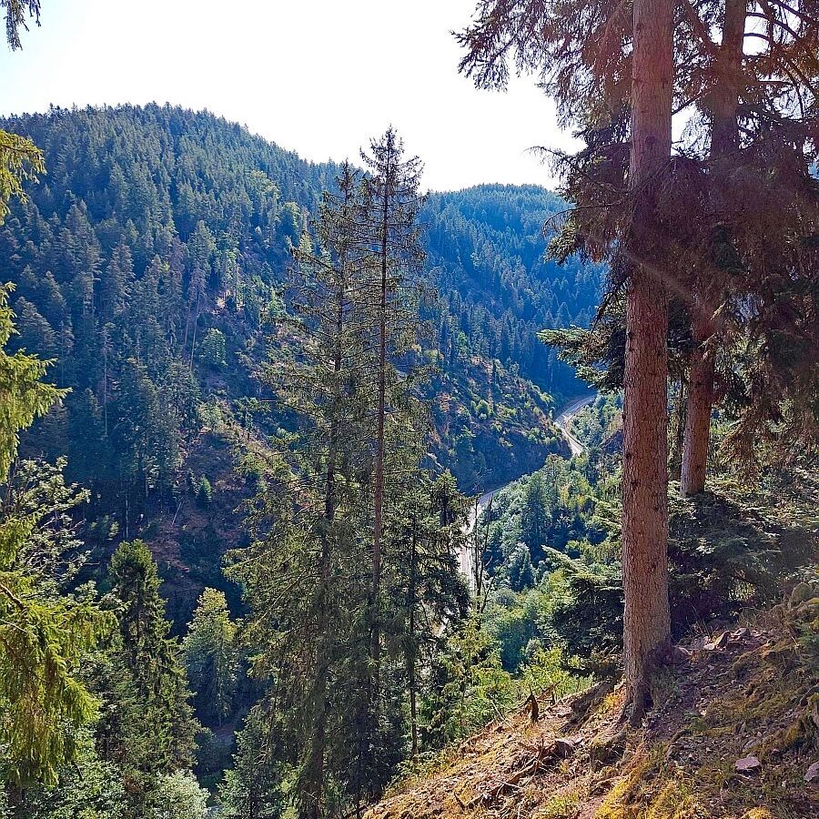 Bernecktal 3